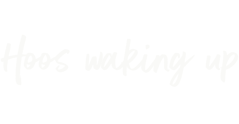 National Trust Sutton Hoo Big Idea